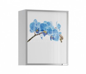 Анна АП-60 Полка с витриной Орхидея синяя в Томмоте - mebel154.com
