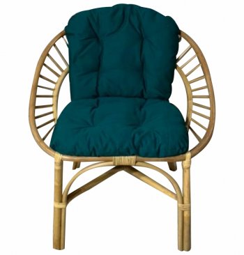 Кресло RJG-Princess (Ротанг №4, ткань JPN DRILL 034) в Томмоте - mebel154.com