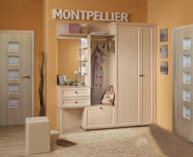 Шкаф для обуви 1 Montpellier в Томмоте - mebel154.com