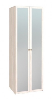 Шкаф для одежды 2-х дверный с зеркалом 54-2 Бриз в Томмоте - mebel154.com