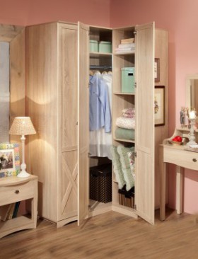 Шкаф для одежды угловой 14 Adele в Томмоте - mebel154.com
