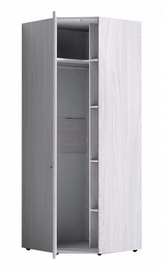 Шкаф для одежды угловой 56-2 Paola в Томмоте - mebel154.com