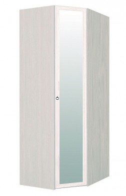 Шкаф для одежды угловой с зеркалом 56-2 Марсель в Томмоте - mebel154.com