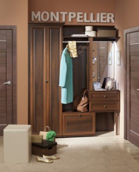 Шкаф для прихожей МЦН 2 Montpellier в Томмоте - mebel154.com